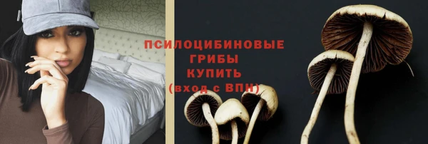 альфа пвп Инсар