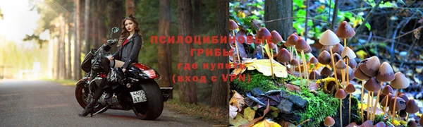 jwh Инта