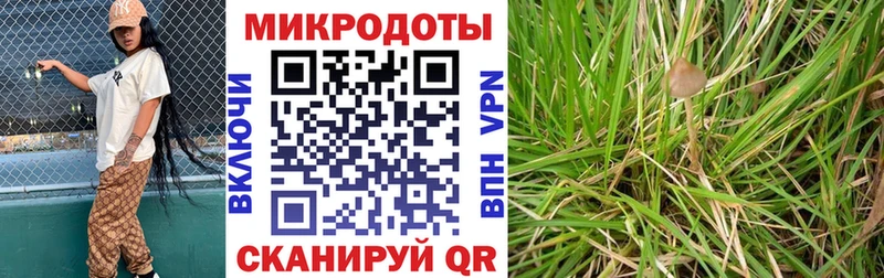Псилоцибиновые грибы GOLDEN TEACHER  Купить  Гусиноозёрск 